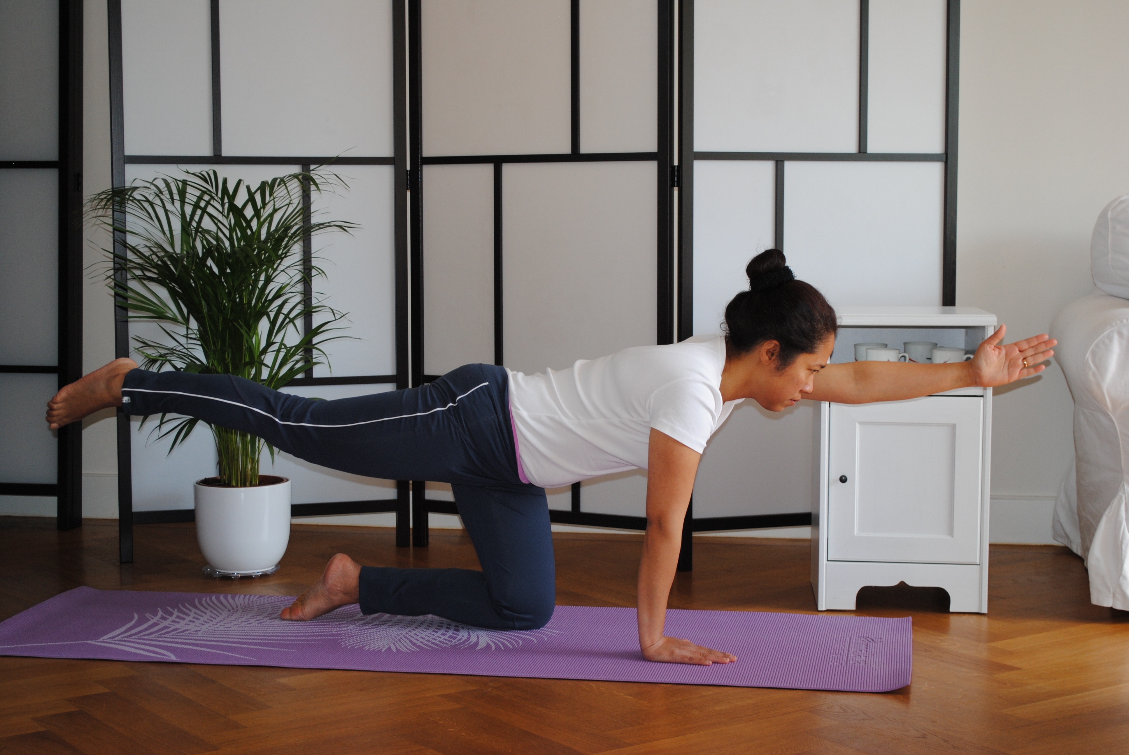 Hatha Flow Yoga lessen voor kleine groepen. Bewust bewegen en aandacht voor gezondheid.