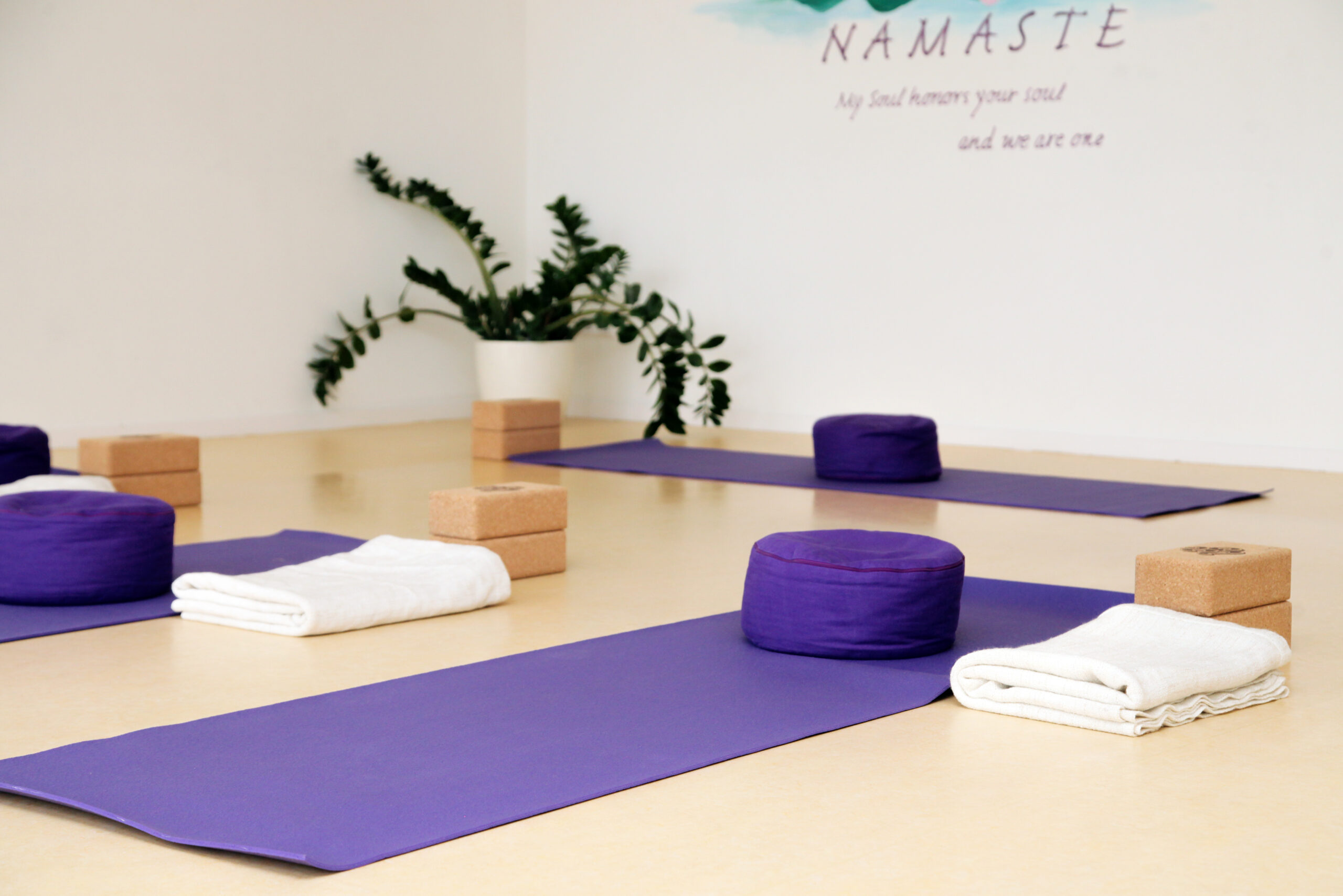 Tadasana Yoga Hoofddorp